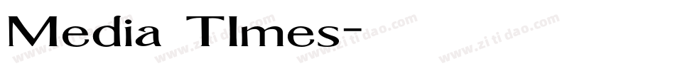 Media TImes字体转换